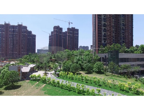 威廉希尔williamhill官网地址：三明绿化苗木批发市场在哪