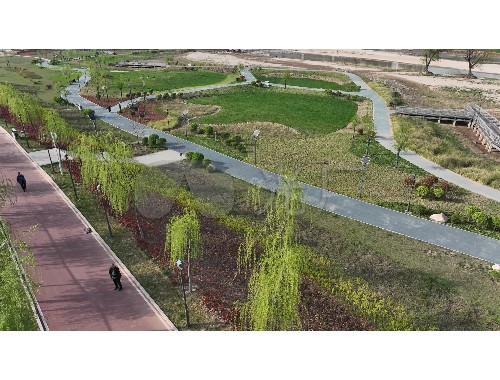 榆树绿化苗木花卉市场在哪里