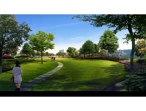 威廉希尔足球官网：桐乡市草坪绿化工程
