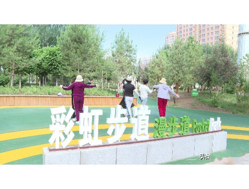 威廉希尔足球官网：校园绿化工程流程