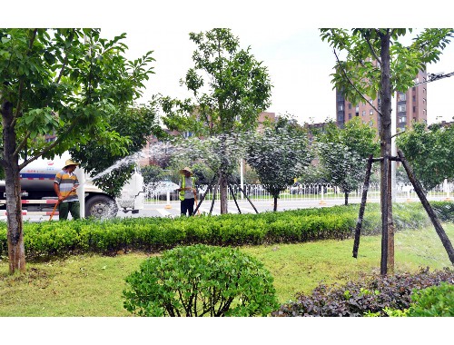 威廉希尔足球官网：校园绿化美化工程