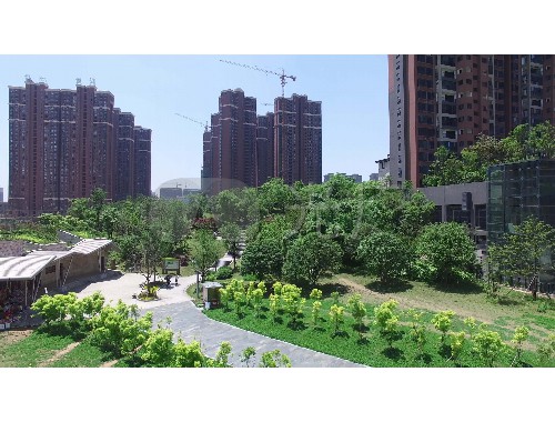 明光市政绿化归哪个部门