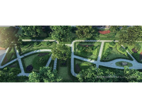 和平市政道路绿化