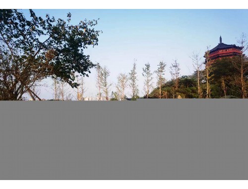 威廉希尔williamhill官网地址：平湖绿化带对城市的作用