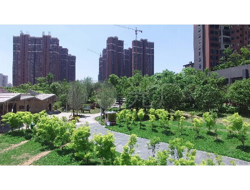 市政绿化工程业务费用