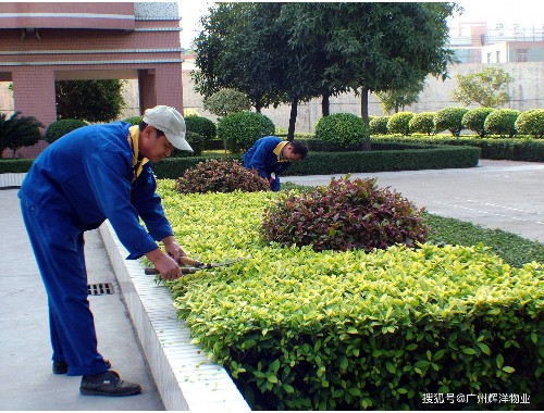 太原市太忻大道绿化工程