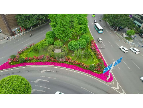 临沧市政绿化公司需要建造师吗现在