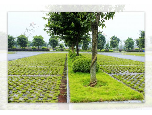 吐鲁番城市绿化地址