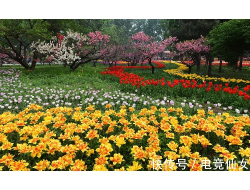 威廉希尔足球官网：园林绿化工程公司部门